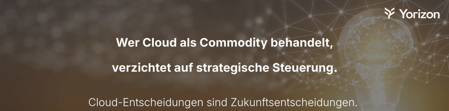 Cloud-ist-kein-Commodity